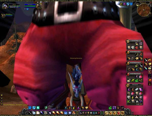 3797world-of-warcraft-screenshot-mach5-111276226284-med.jpg